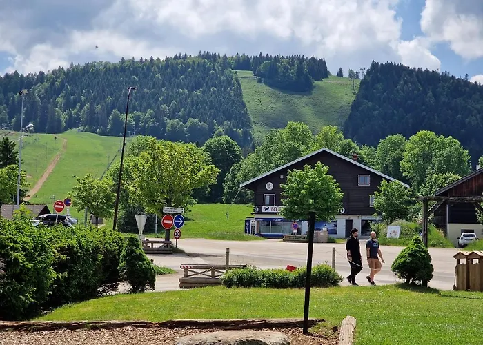 Place Royale Pour 10 A 12 Personnes A 30 Met Des Pistes De Ski Et Vtt