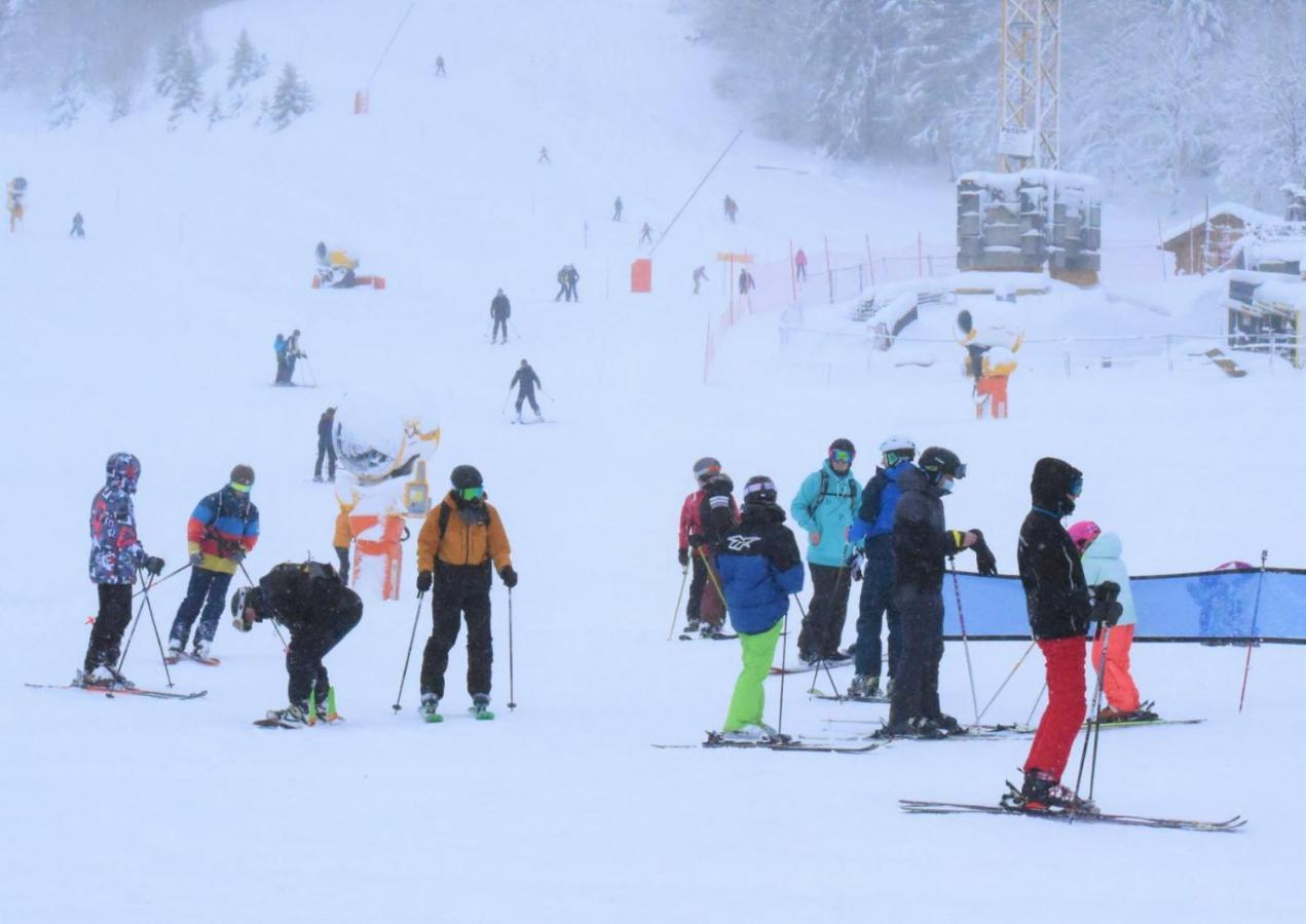 Ferienhaus Place Royale Pour 10 A 12 Personnes A 30 Met Des Pistes De Et Vtt