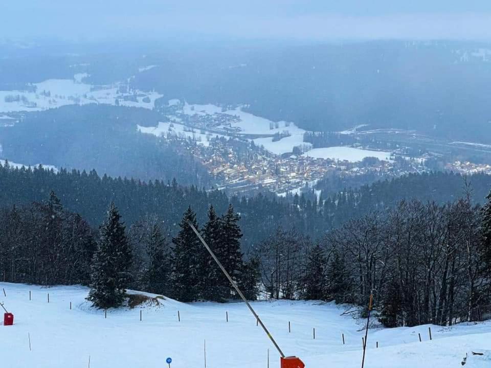 Place Royale Pour 10 A 12 Personnes A 30 Met Des Pistes De Et Vtt * Métabief