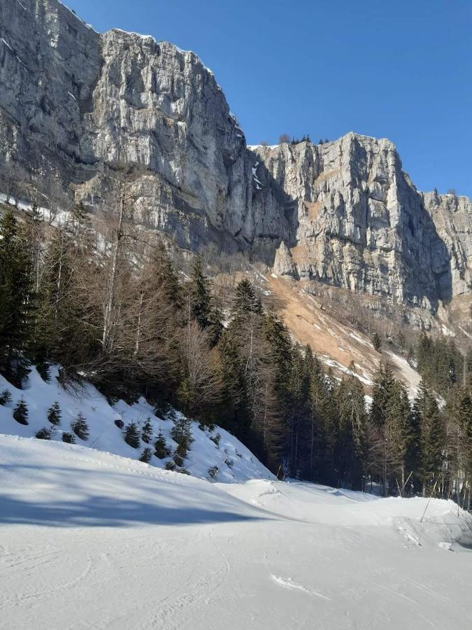 Place Royale Pour 10 A 12 Personnes A 30 Met Des Pistes De Et Vtt Ferienhaus *