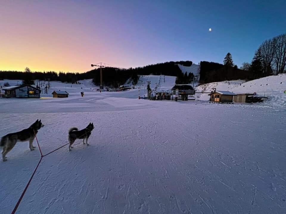 Place Royale Pour 10 A 12 Personnes A 30 Met Des Pistes De Et Vtt Ferienhaus *